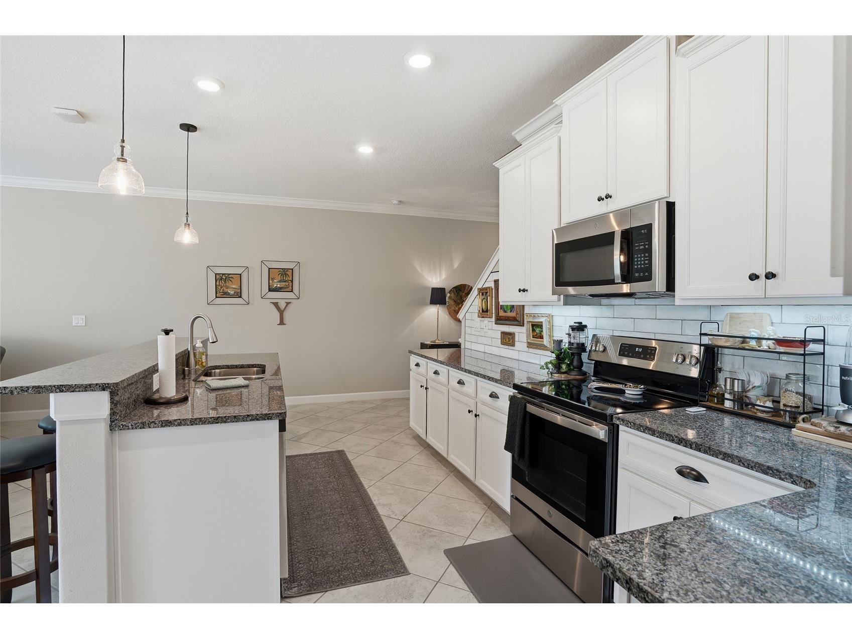 1370 White Fox Run Lutz FL 33549 TB8467345 image11