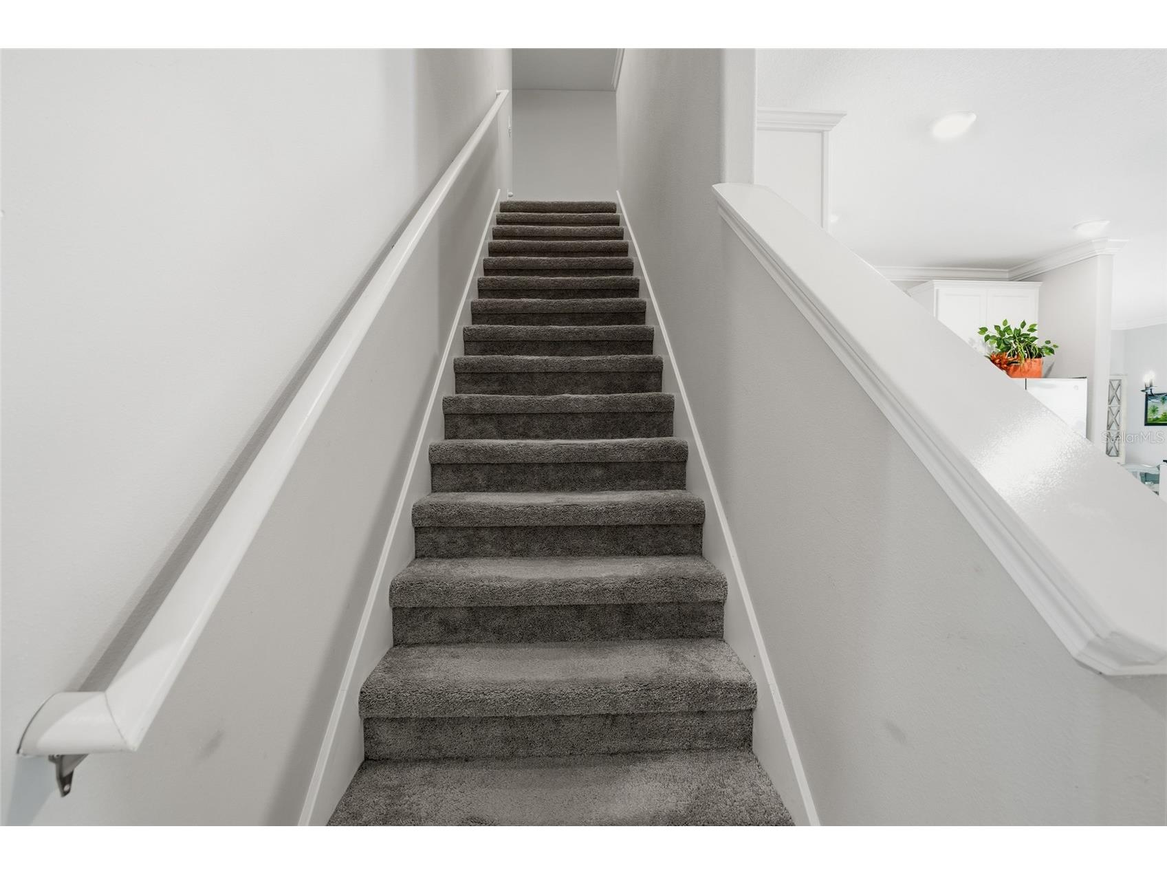 1370 White Fox Run Lutz FL 33549 TB8467345 image19