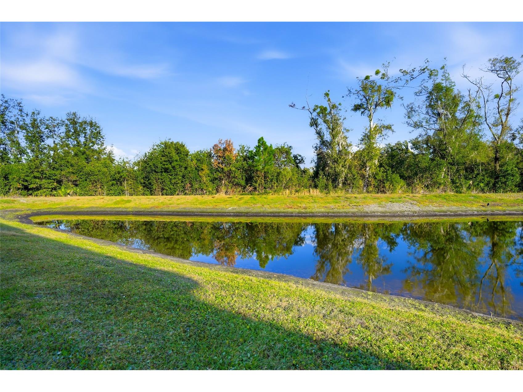 1370 White Fox Run Lutz FL 33549 TB8467345 image37