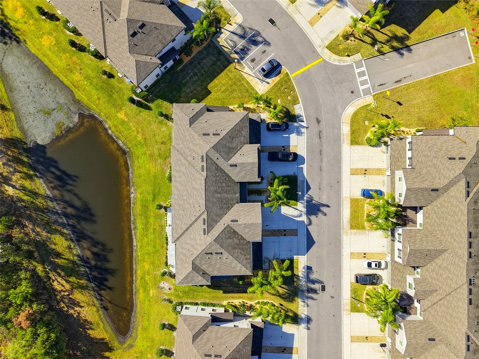 1370 White Fox Run Lutz FL 33549 TB8467345 image38