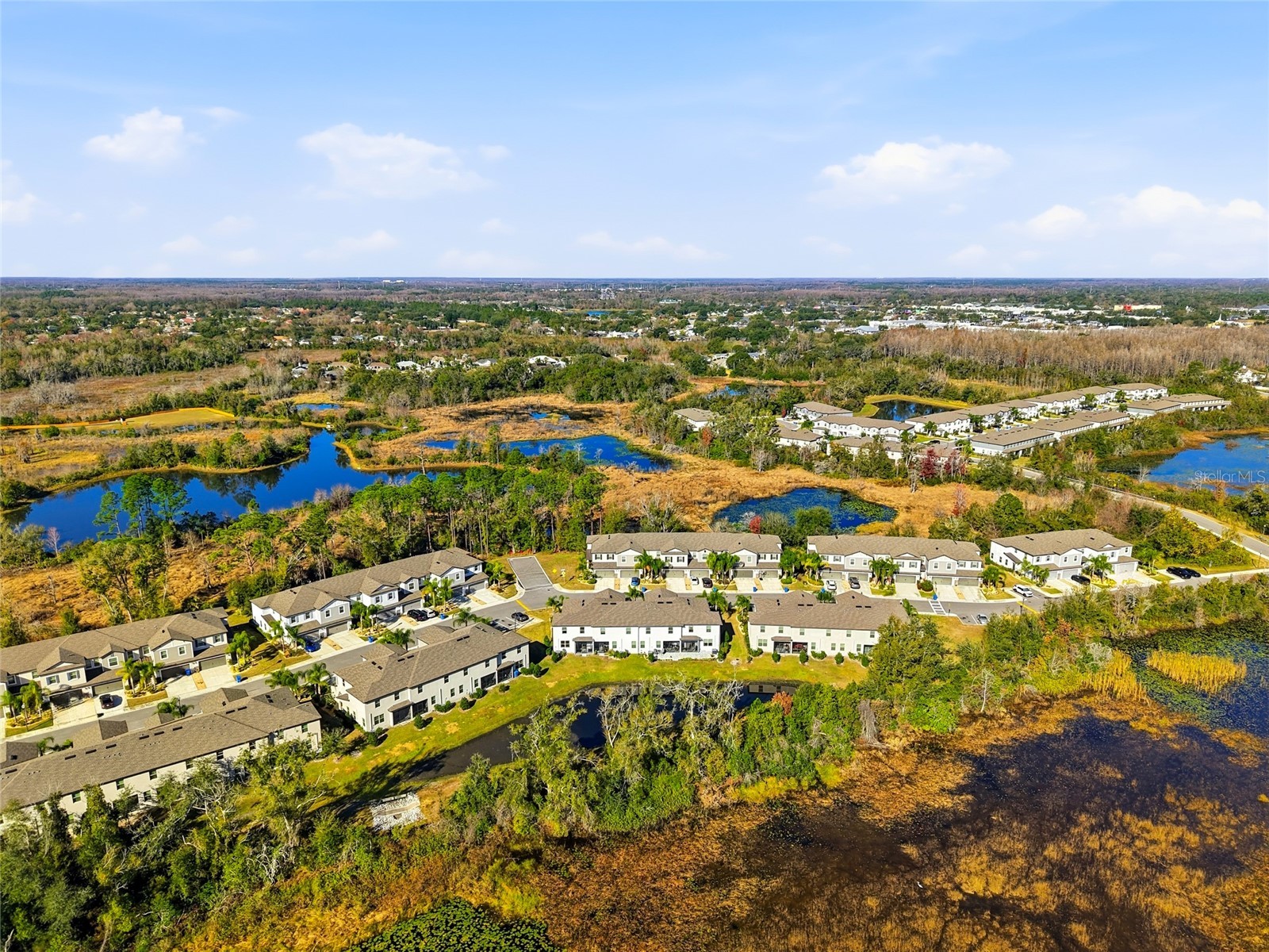 1370 White Fox Run Lutz FL 33549 TB8467345 image39