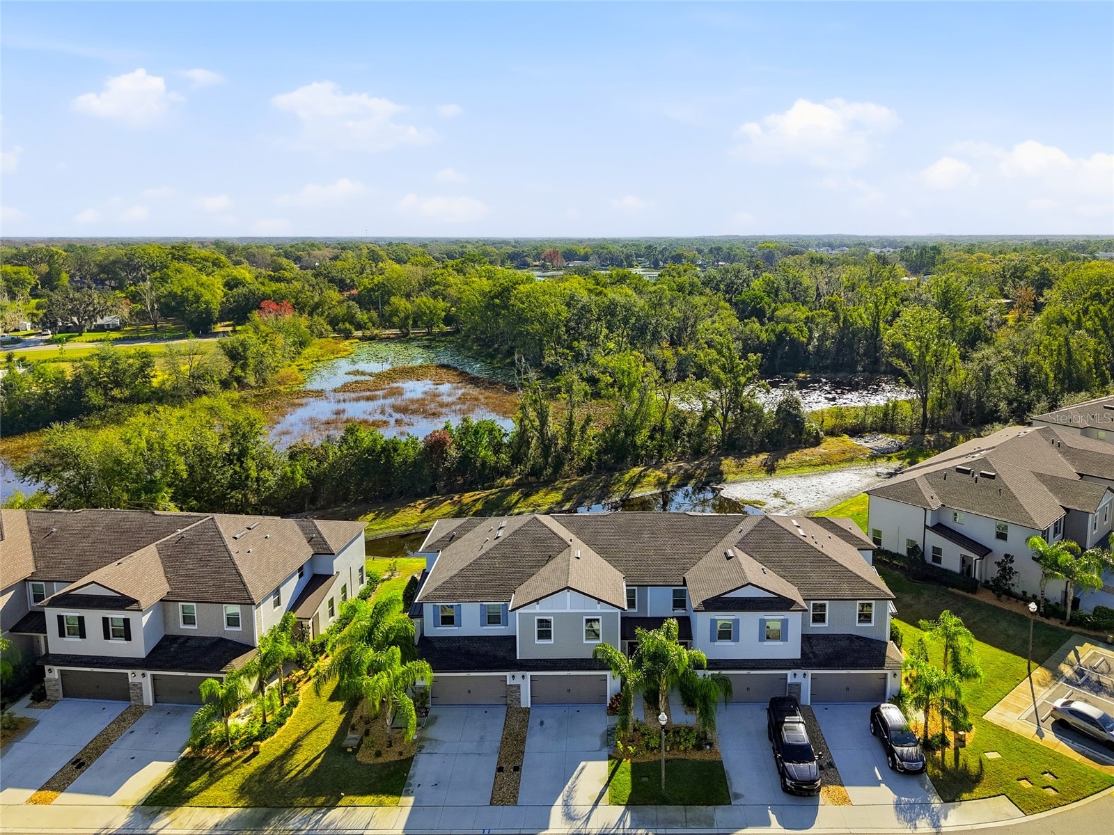 1370 White Fox Run Lutz FL 33549 TB8467345 image5