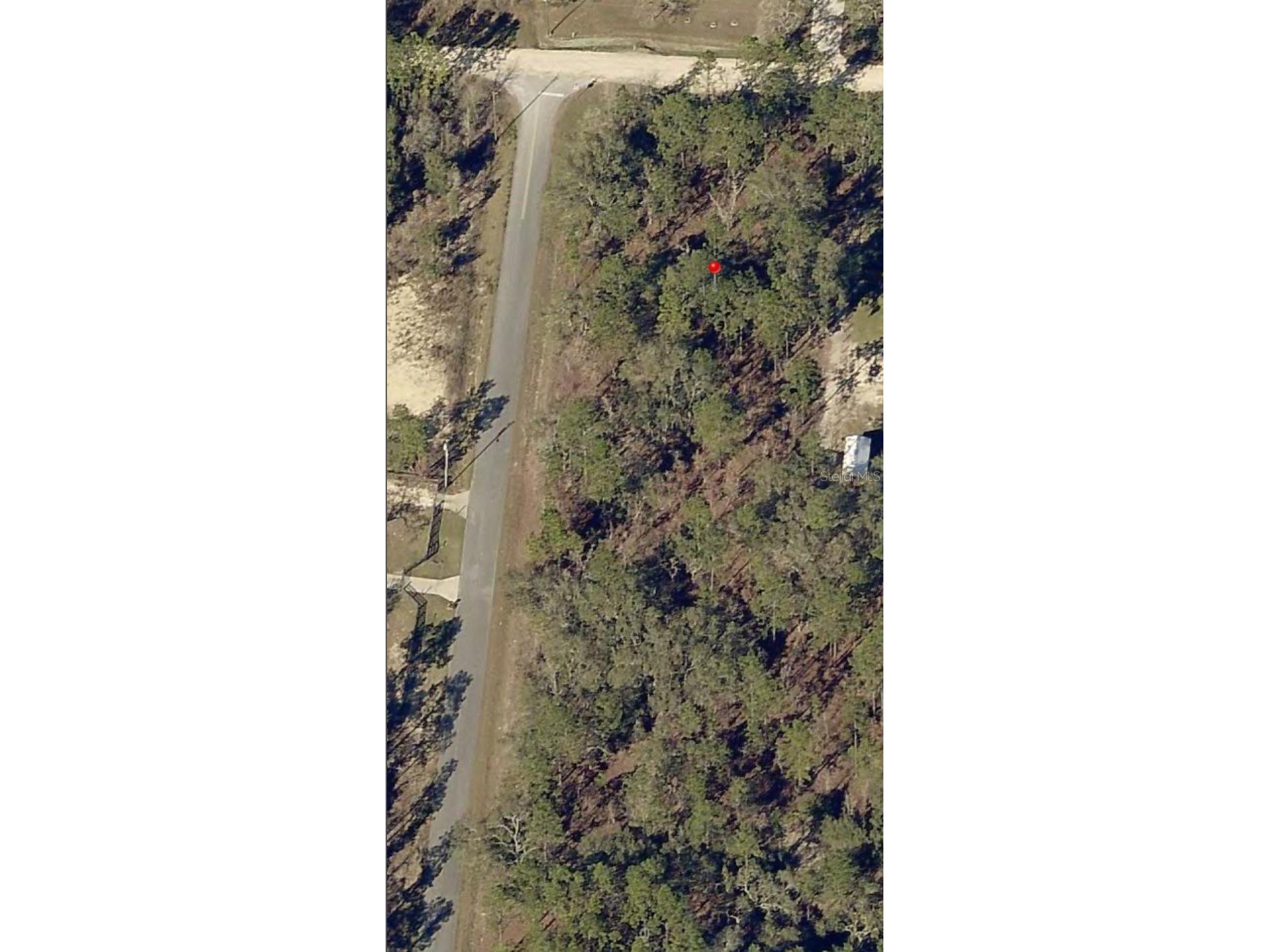 13700 SW 81st Street Dunnellon FL 34432 O6405810 image1