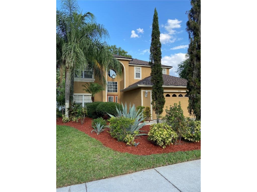 13701 Antler Point Drive Tampa FL 33626 T3455678 image1