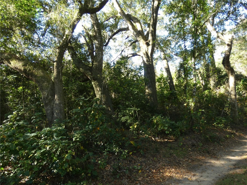 13701 NE 10th Court Citra FL 32113 OM713226 image10