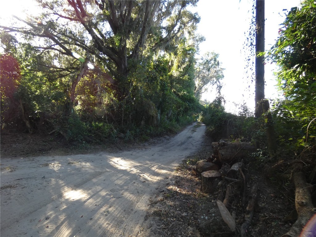 13701 NE 10th Court Citra FL 32113 OM713226 image8