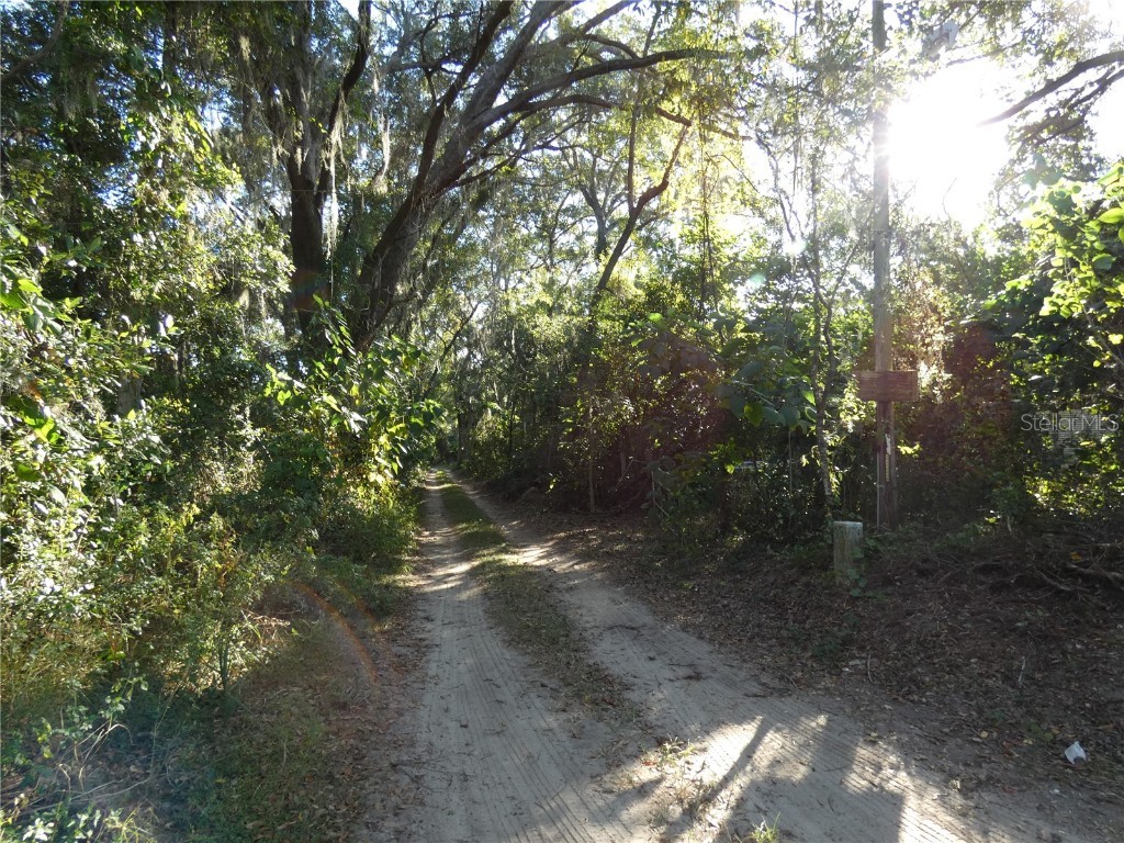 13701 NE 10th Court Citra FL 32113 OM713226 image9