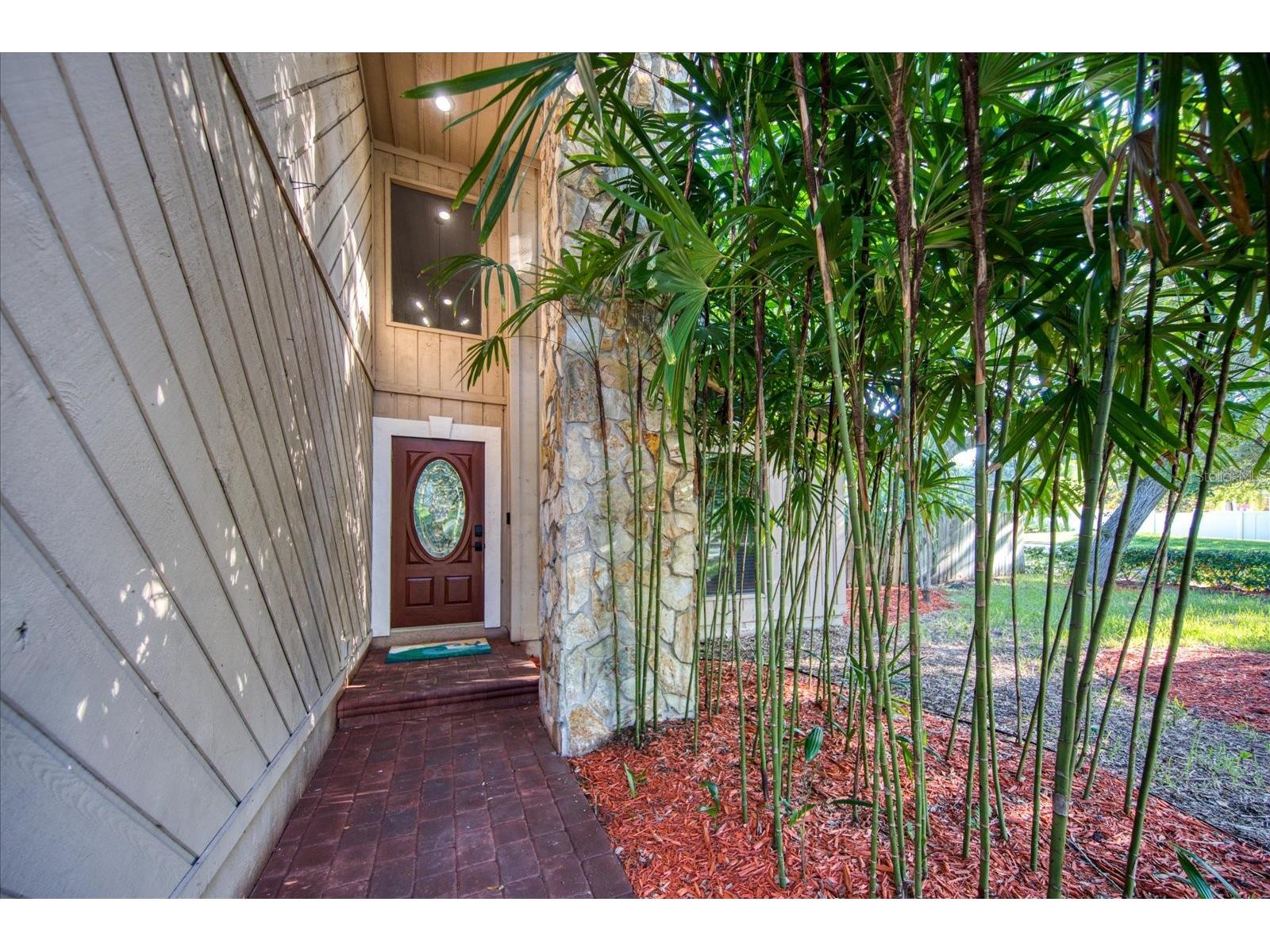 13703 Oak Forest Boulevard N Seminole FL 33776 TB8485534 image4