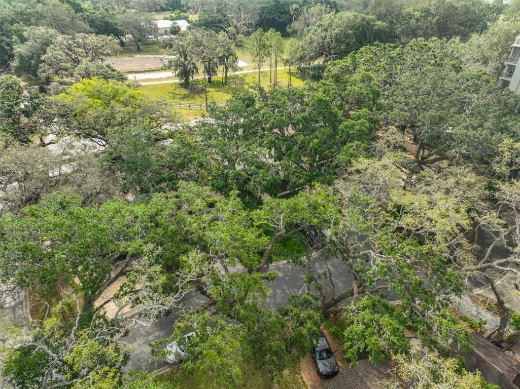 13703 Sweetwater Cove Place Tampa FL 33613 TB8382684 image43