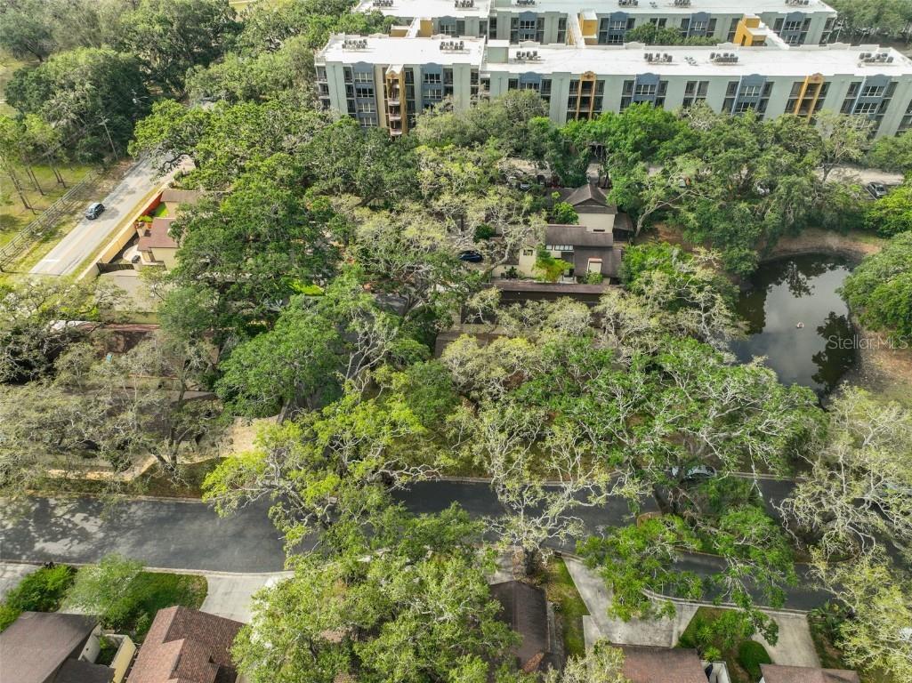 13703 Sweetwater Cove Place Tampa FL 33613 TB8382684 image44