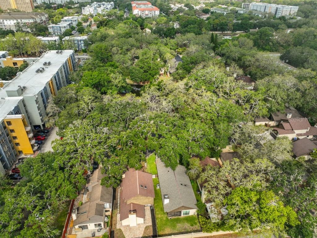 13703 Sweetwater Cove Place Tampa FL 33613 TB8382684 image9