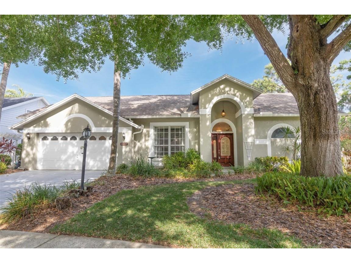 13703 Whitebark Place Tampa FL 33625 TB8363570 image1