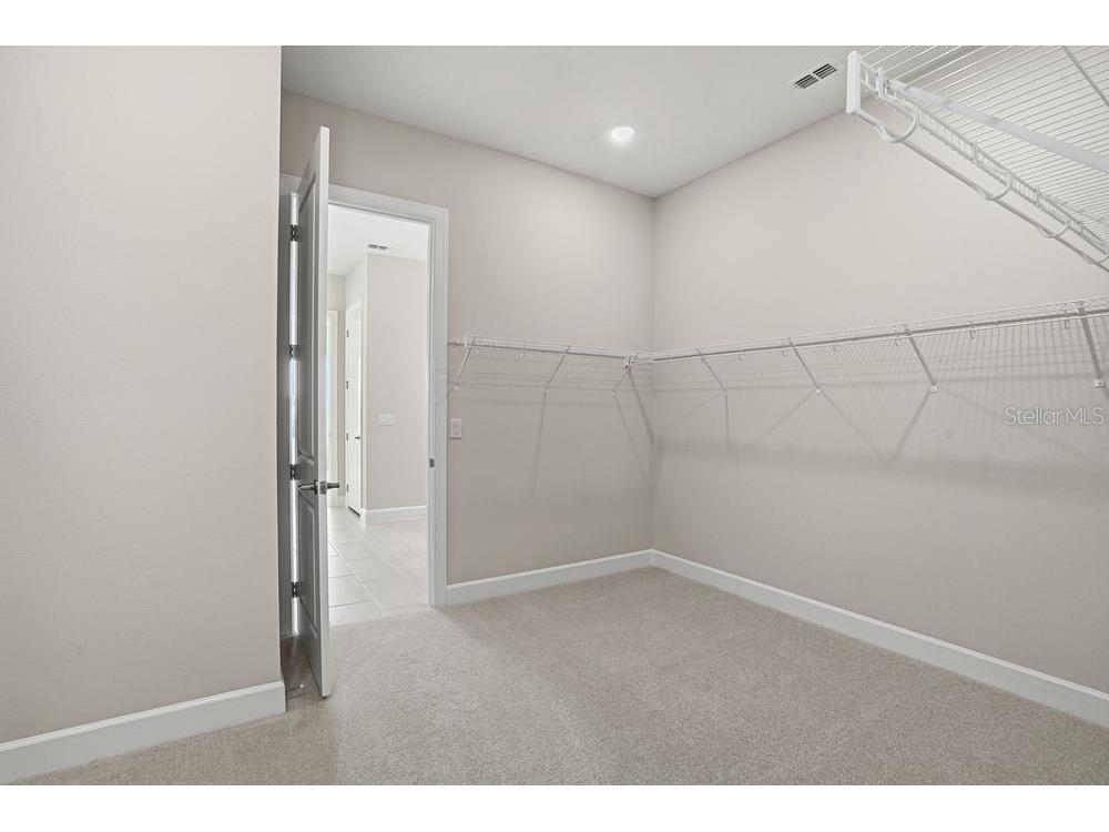 13704 Buchanan Drive Palmetto FL 34221 TB8425478 image17