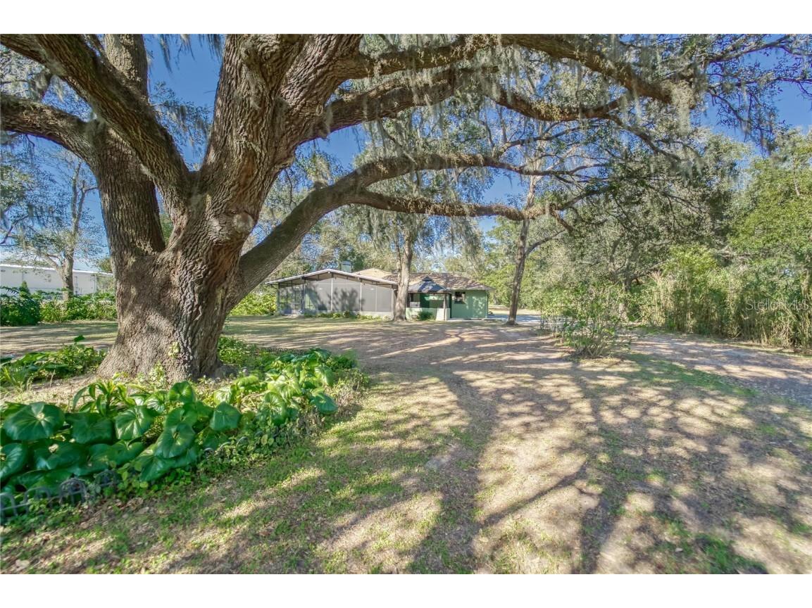 13704 Dr Martin Luther King Jr Boulevard Dover FL 33527 T3423410 image1