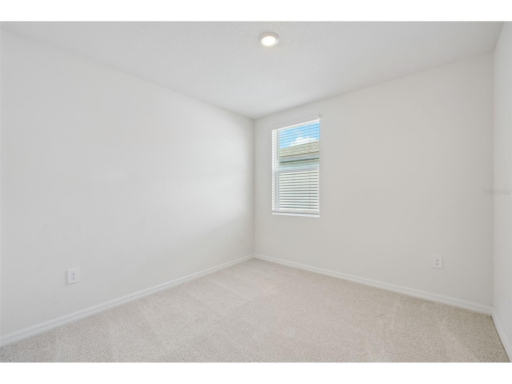 13704 Umber Forest Street Hudson FL 34669 TB8518098 image35