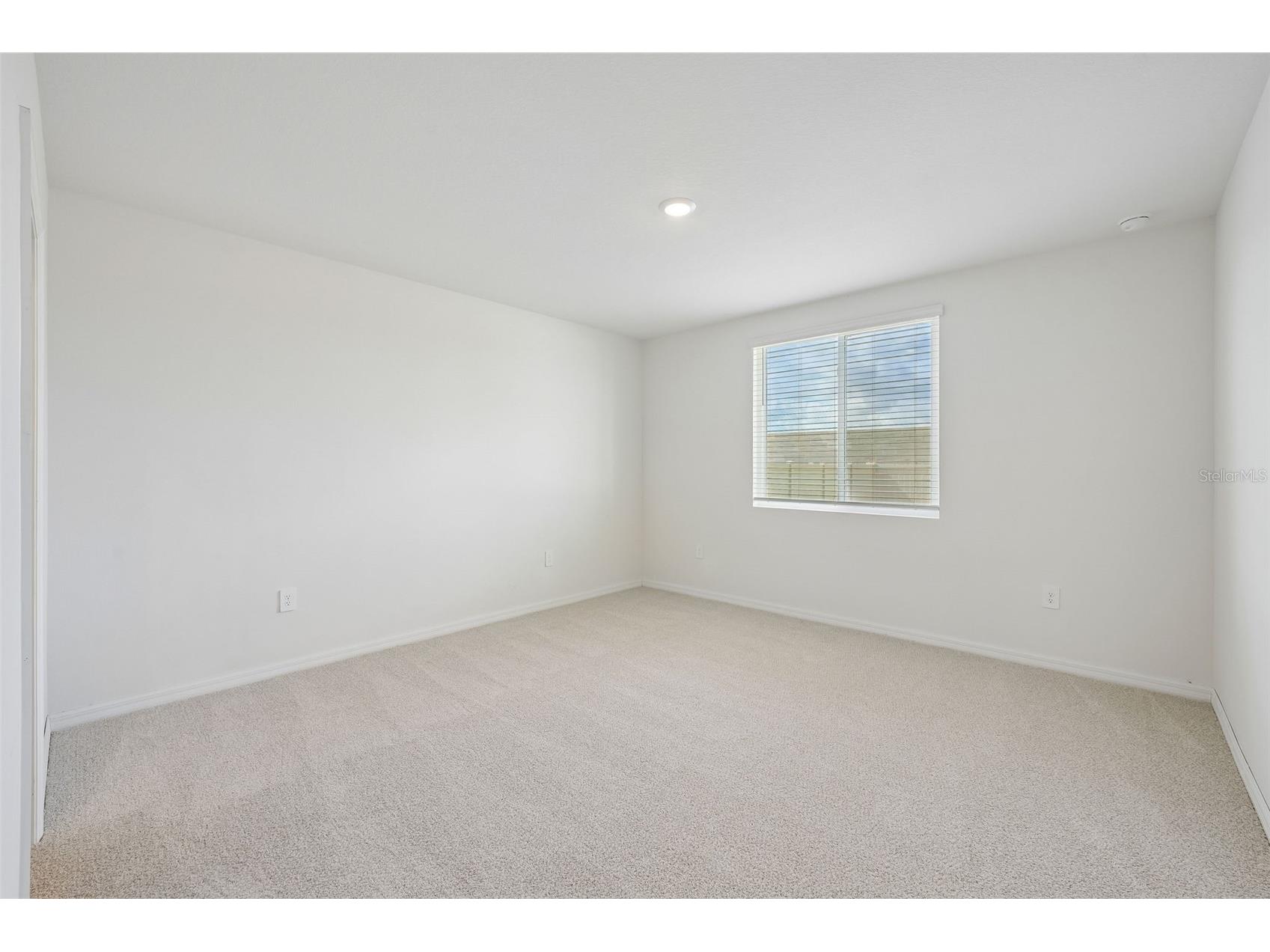 13704 Umber Forest Street Hudson FL 34669 TB8518098 image39