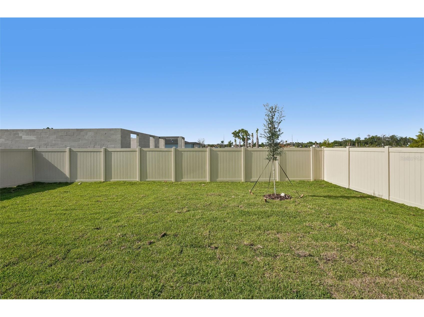 13704 Umber Forest Street Hudson FL 34669 TB8518098 image52