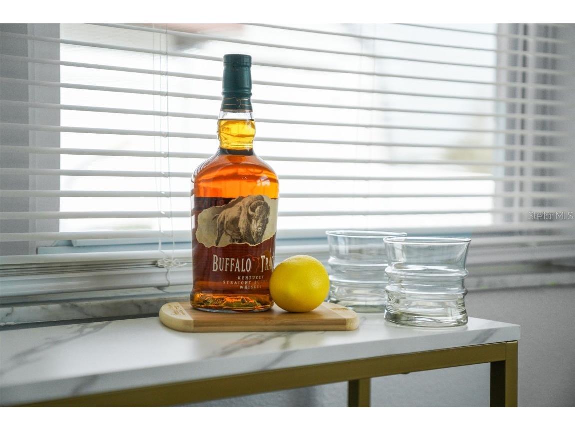 13704 Veronica Drive Hudson FL 34667 - GULF TB8392494 image13