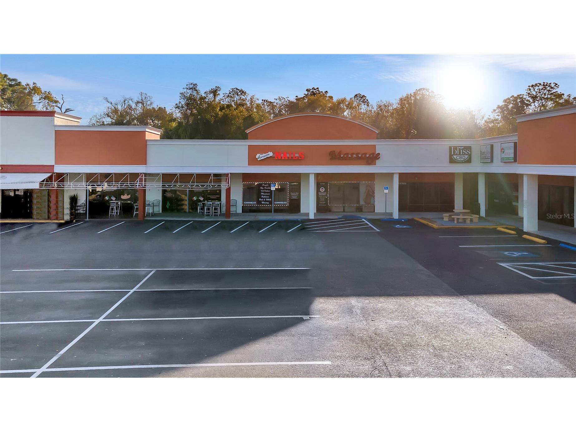 13705 N Dale Mabry Highway Tampa FL 33618 TB8486222 image4