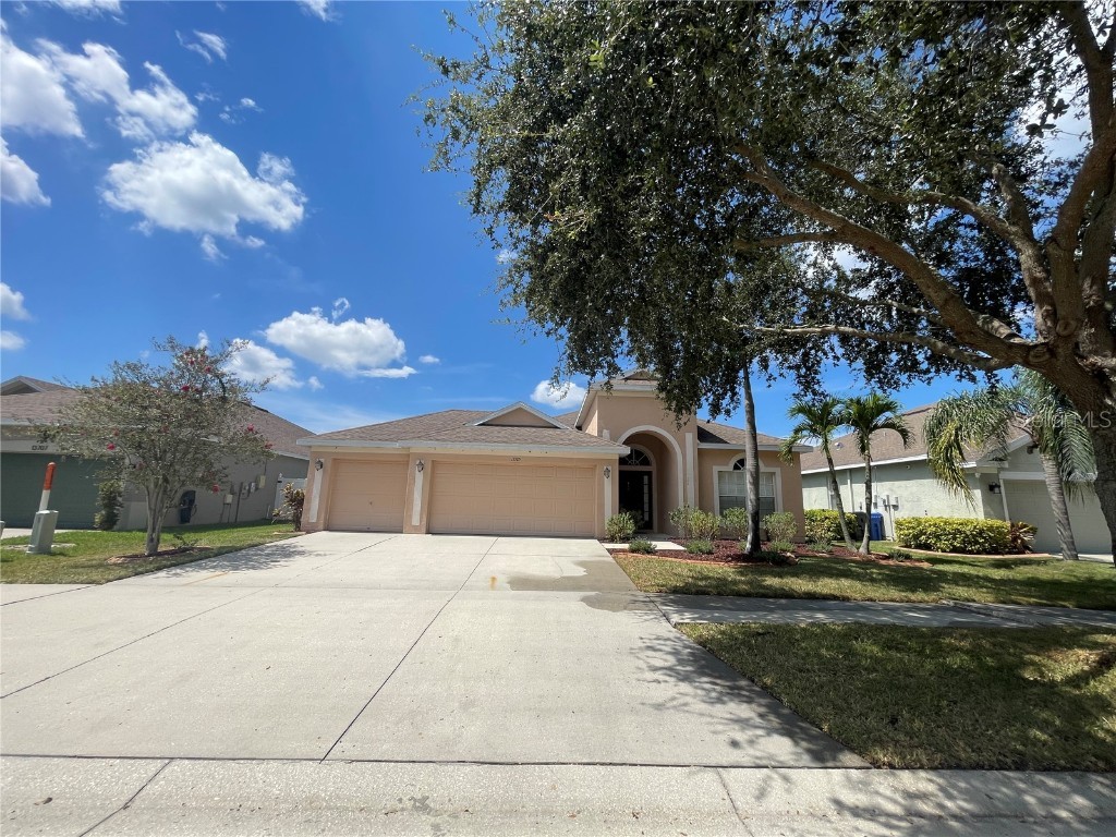 13705 Rothman Tate Pl Riverview FL 33579 T3479550 image1