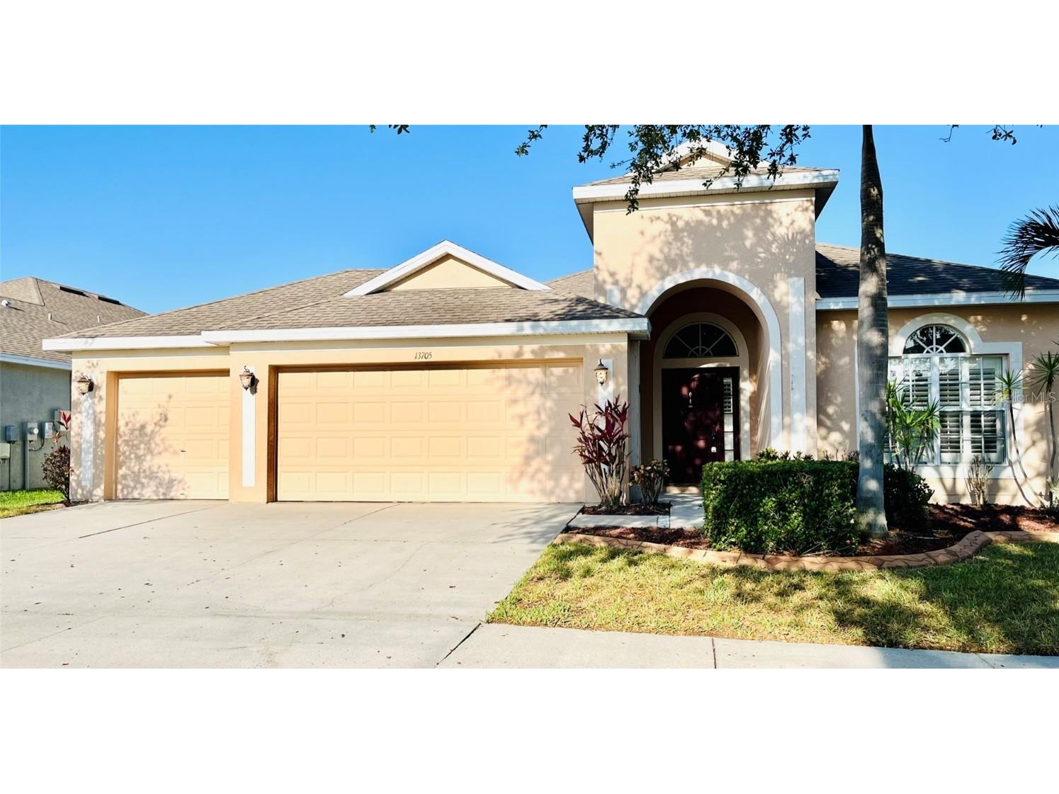 13705 Rothman Tate Place Riverview FL 33579 T3437054 image1