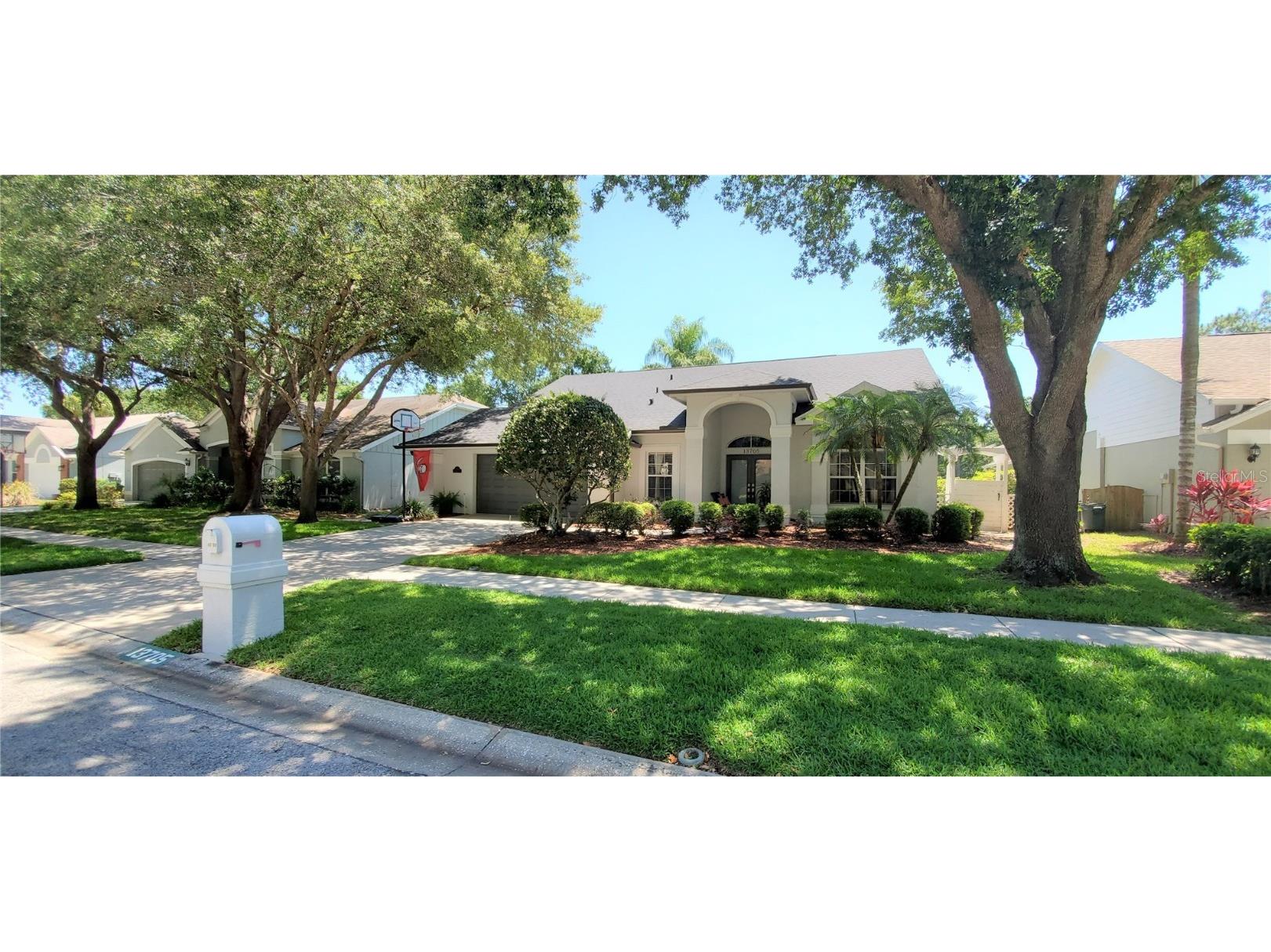 13705 Whitebark Place Tampa FL 33625 T3460965 image1