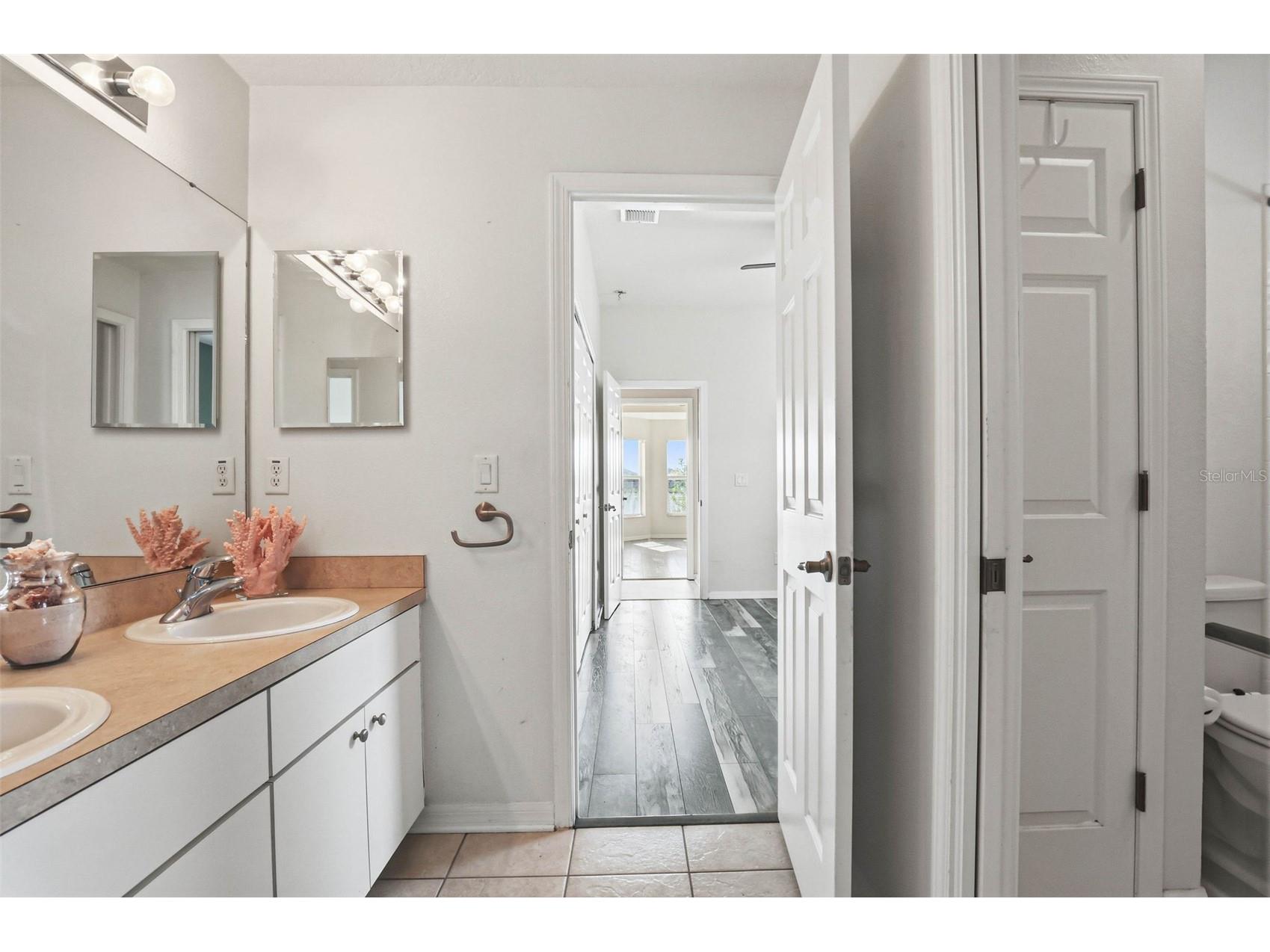 13706 Artesa Bell Drive Riverview FL 33579 TB8493938 image36