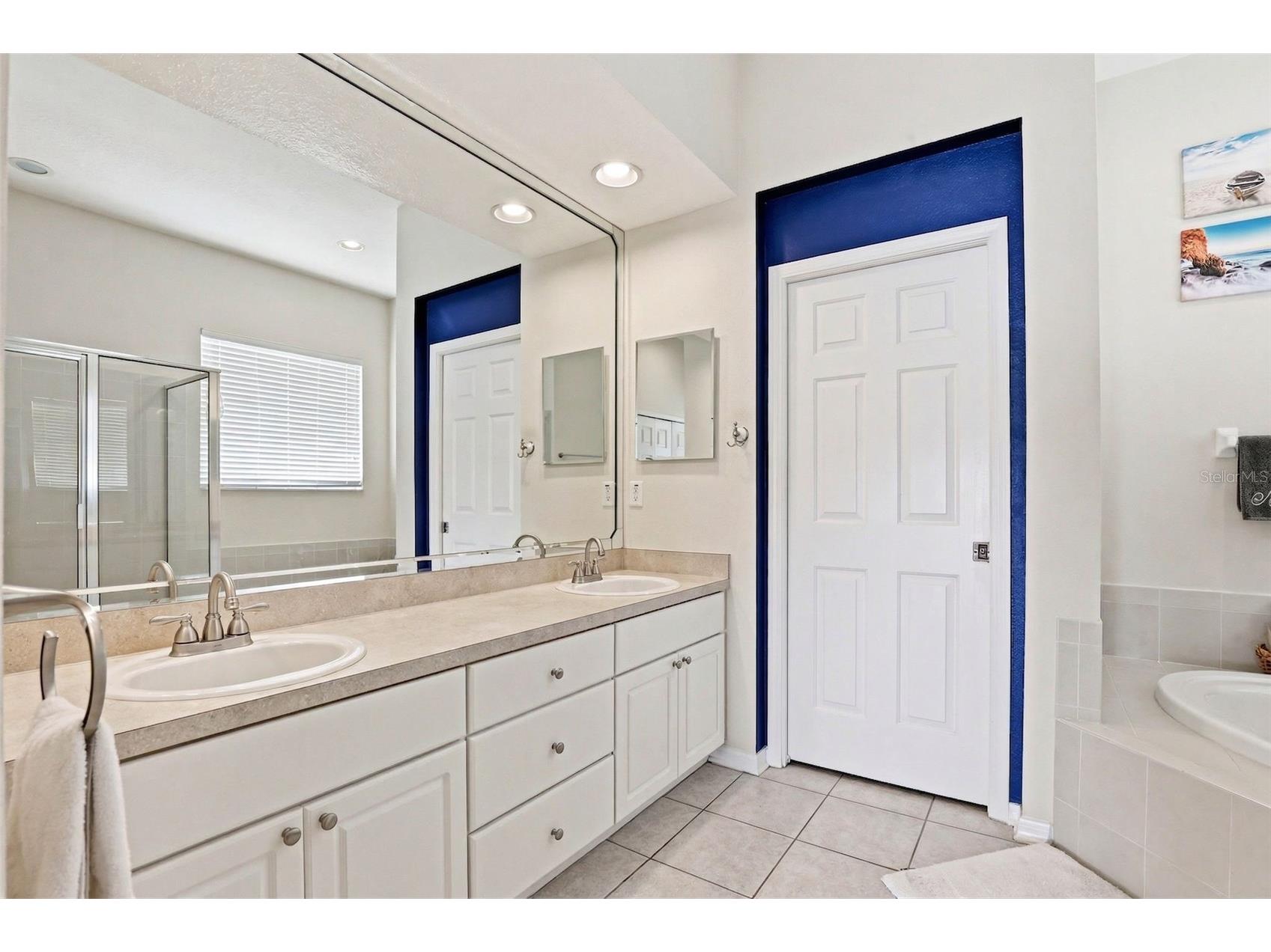 13706 Artesa Bell Drive Riverview FL 33579 TB8493938 image47