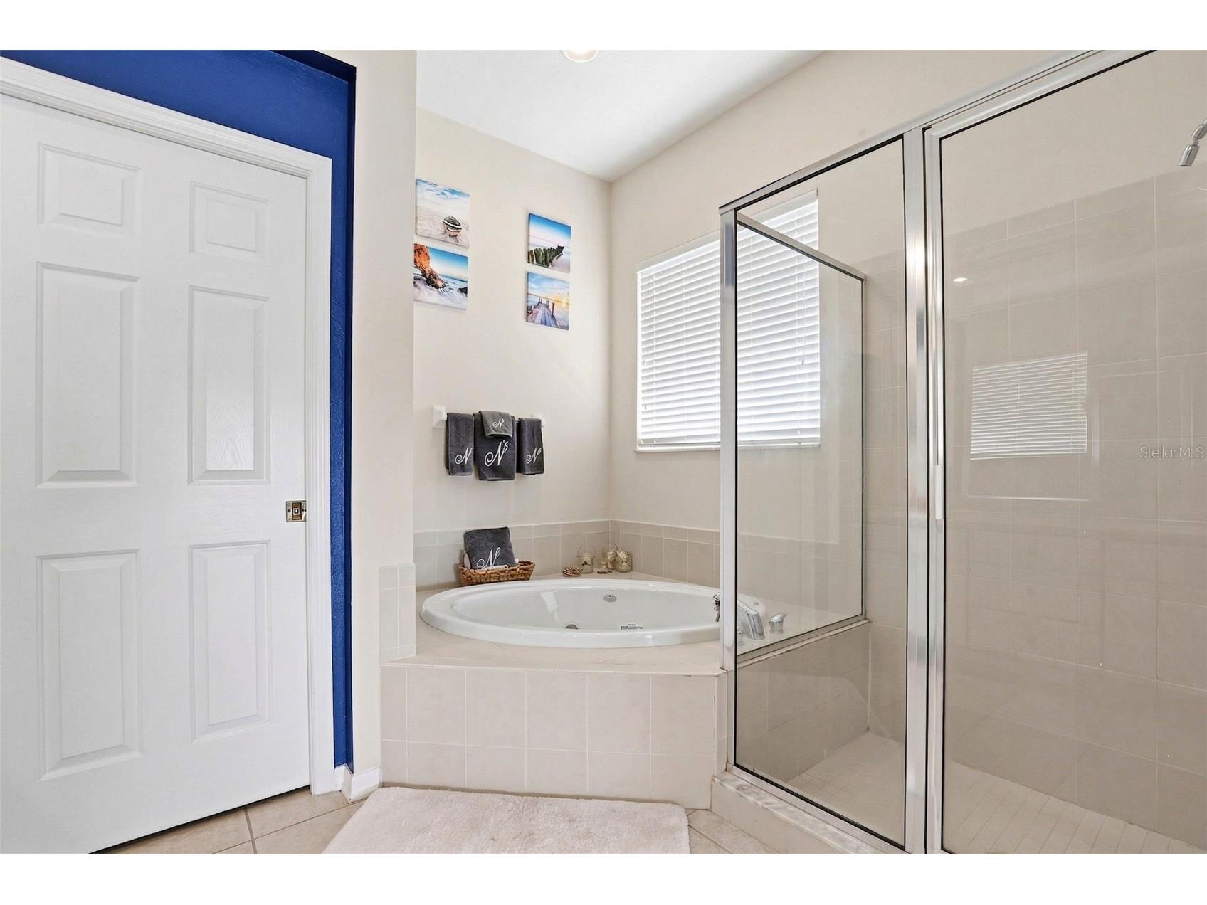 13706 Artesa Bell Drive Riverview FL 33579 TB8493938 image48