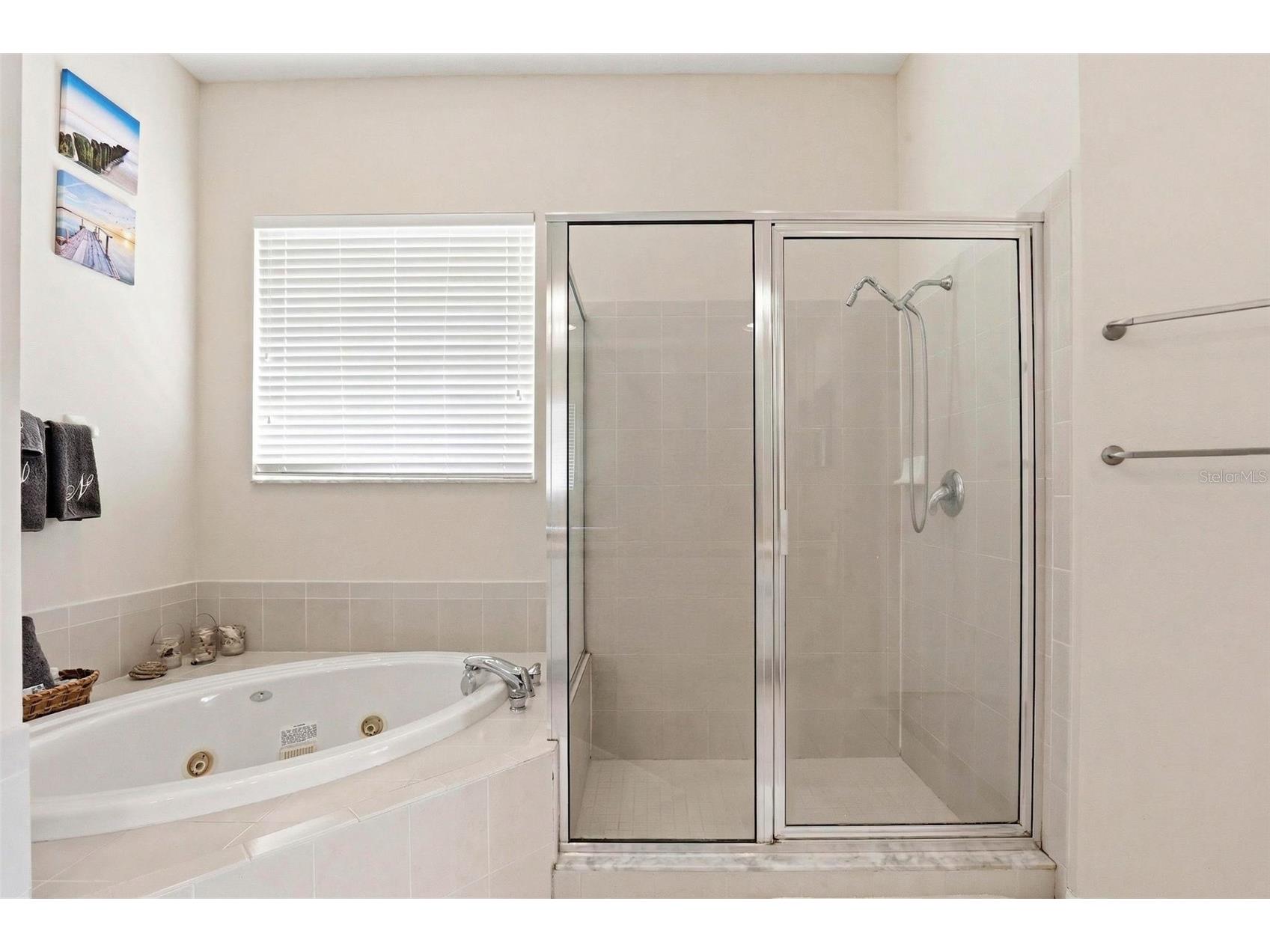 13706 Artesa Bell Drive Riverview FL 33579 TB8493938 image49