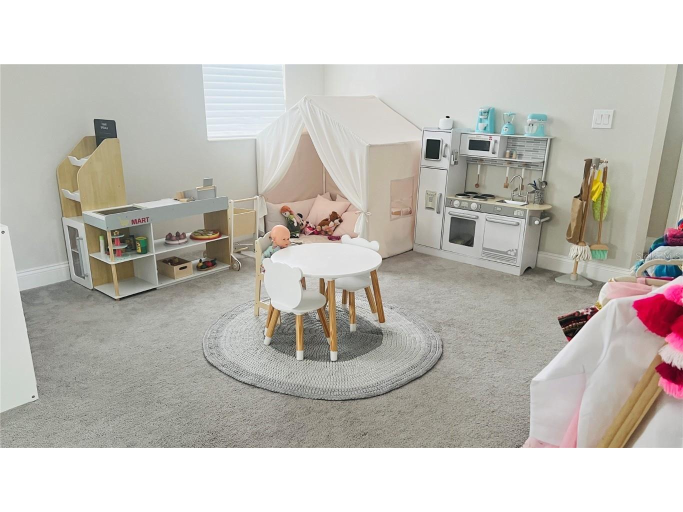 13706 Werrington Drive Winter Garden FL 34787 S5138020 image64