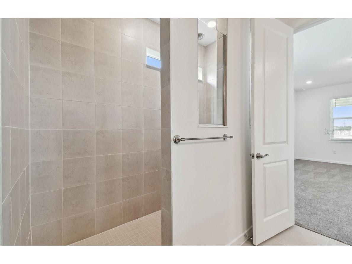 13707 Brookside Haven Street Riverview FL 33578 TB8421810 image10