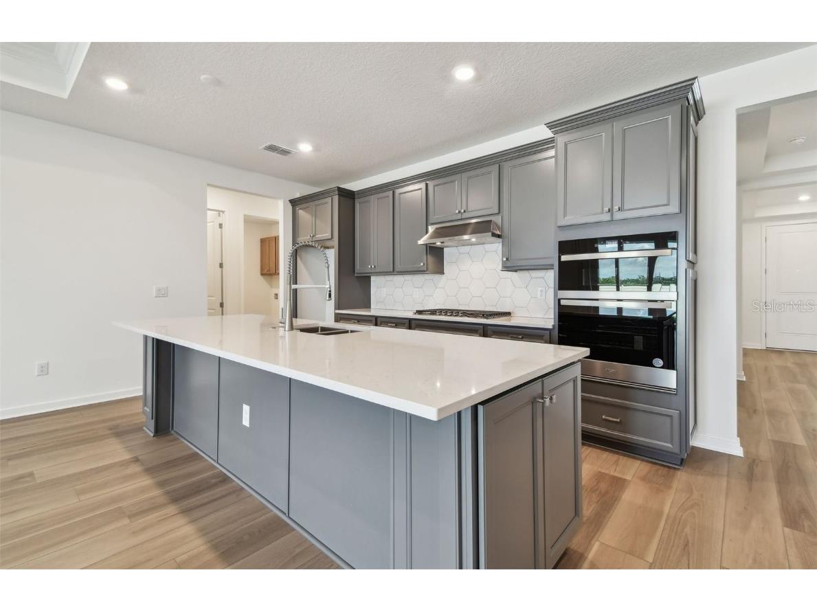 13707 Brookside Haven Street Riverview FL 33578 TB8421810 image3