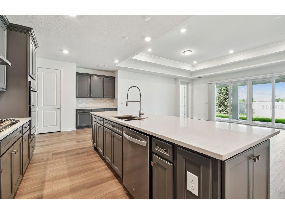 13707 Brookside Haven Street Riverview FL 33578 TB8421810 image4