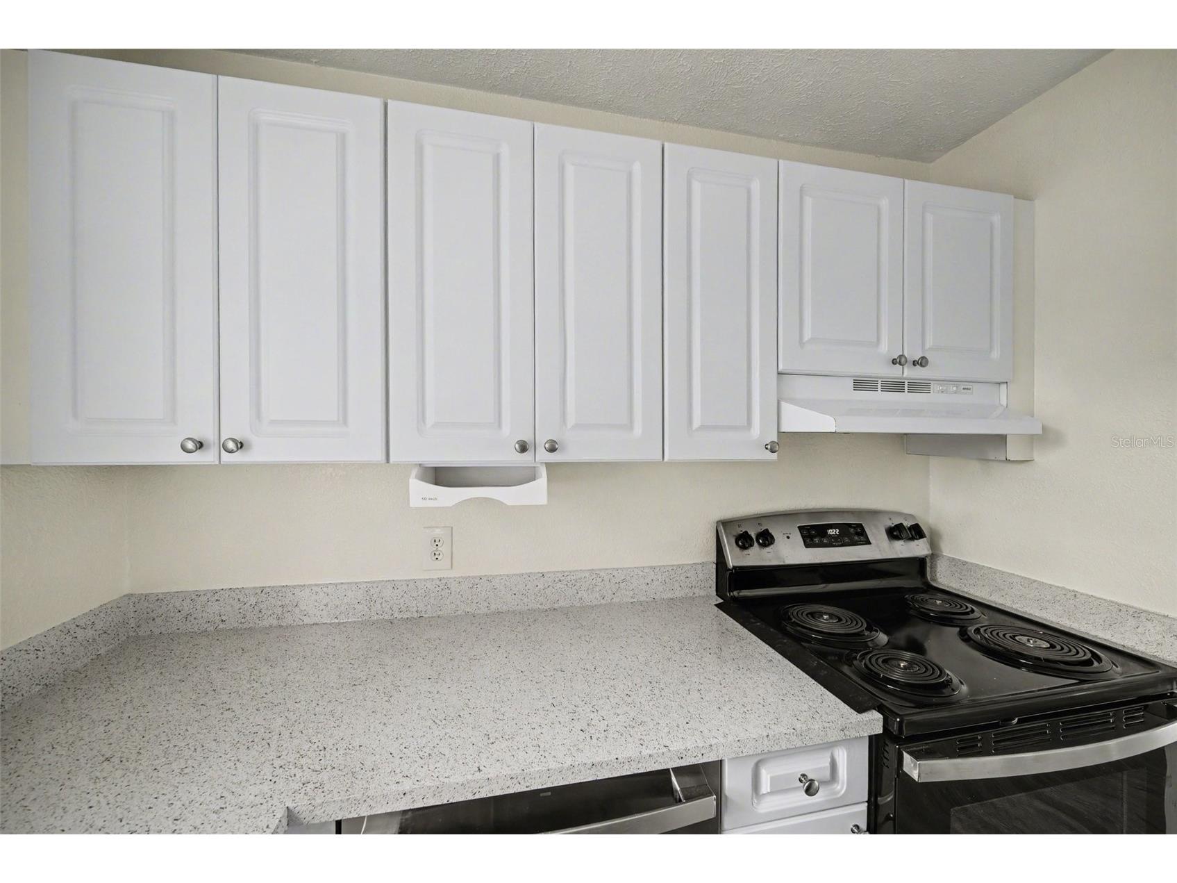 13708 Orange Sunset Drive Tampa FL 33618 TB8495786 image11