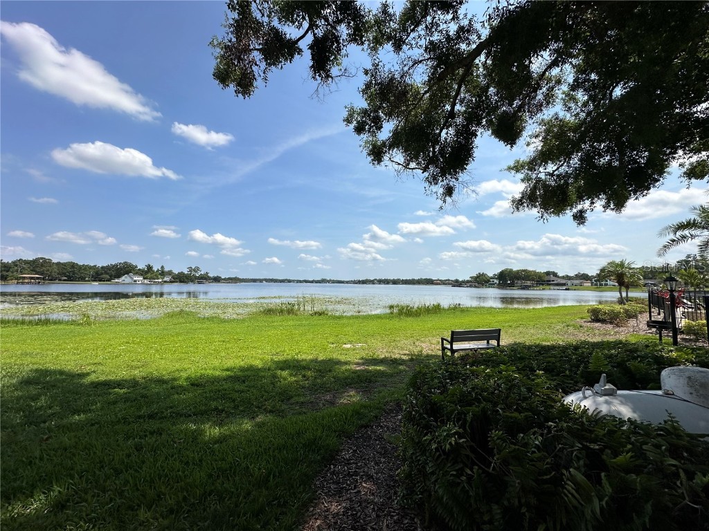 13709 Juniper Blossom Drive #0 Tampa FL 33618 - LAKE MAGDALENE TB8391883 image1