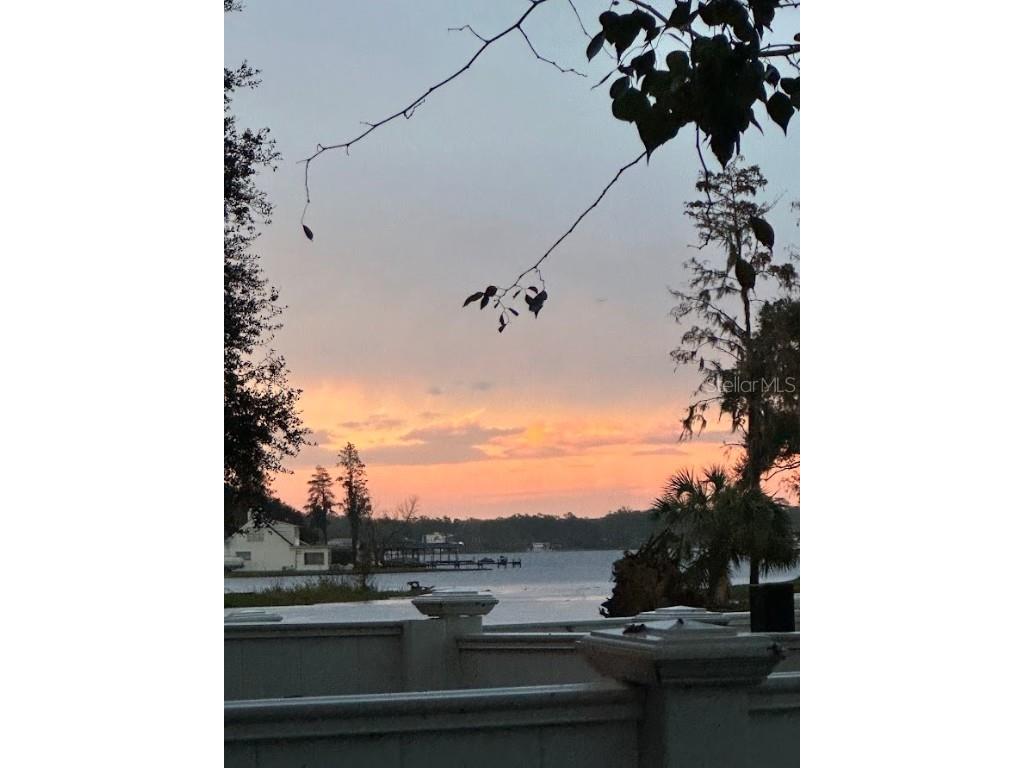 13709 Juniper Blossom Drive #0 Tampa FL 33618 - LAKE MAGDALENE TB8391883 image12