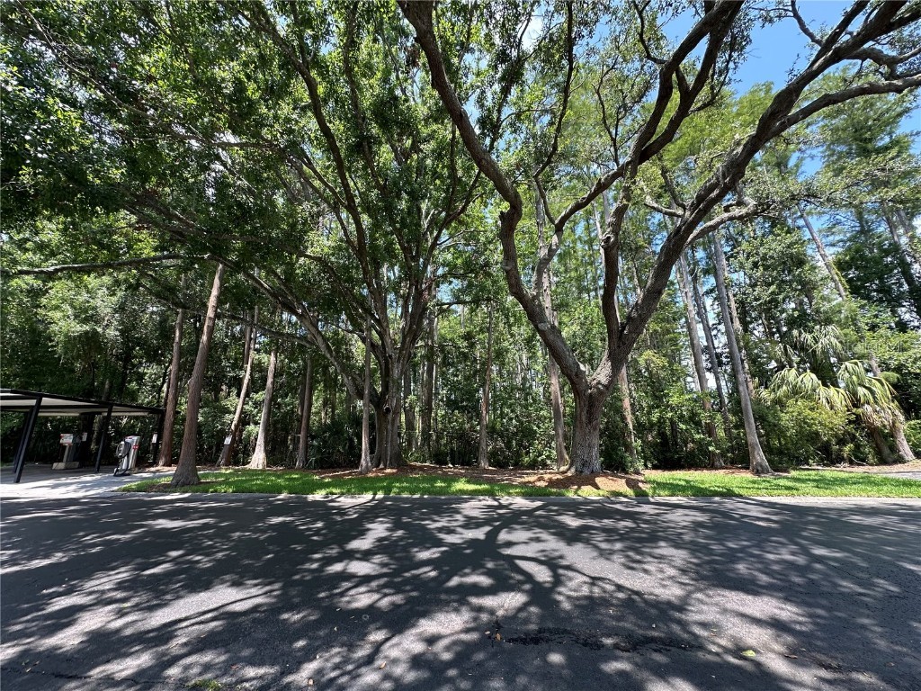 13709 Juniper Blossom Drive #0 Tampa FL 33618 - LAKE MAGDALENE TB8391883 image13