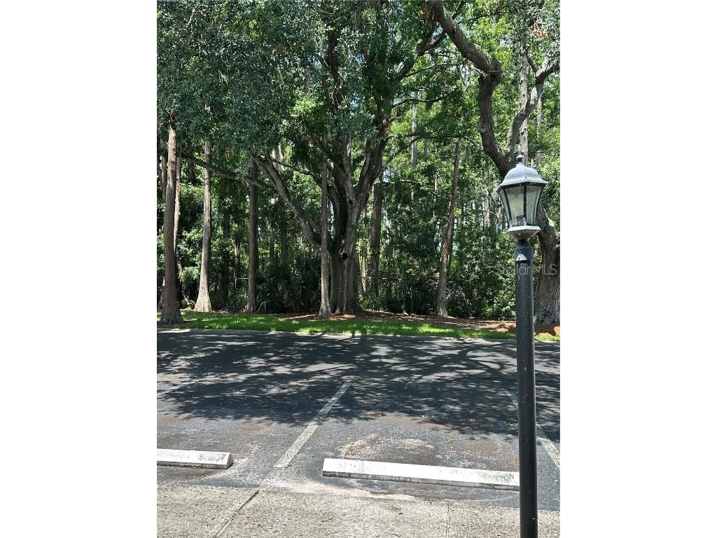 13709 Juniper Blossom Drive #0 Tampa FL 33618 - LAKE MAGDALENE TB8391883 image15