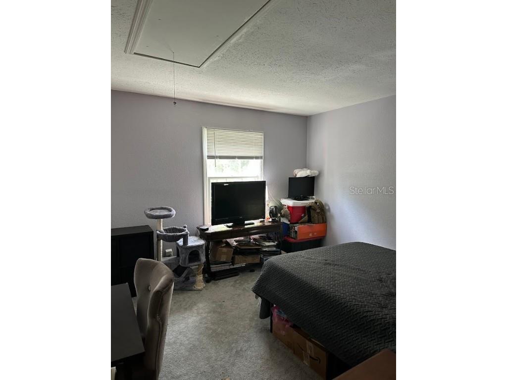 13709 Juniper Blossom Drive #0 Tampa FL 33618 - LAKE MAGDALENE TB8391883 image23