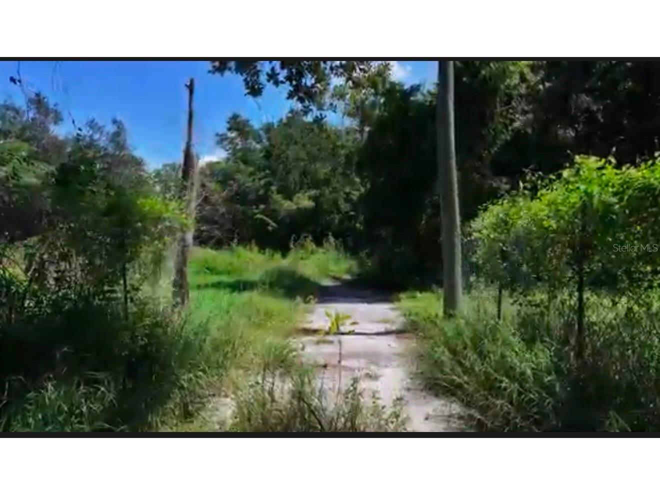 13709 S Apopka Vineland Roads Orlando FL 32821 S5152176 image9