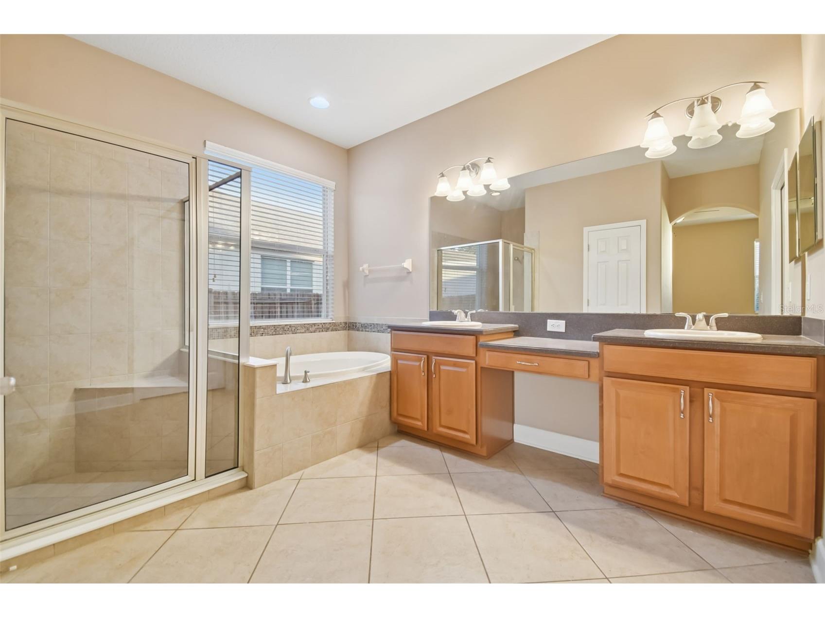 13709 Sanford Hill Place Riverview FL 33579 TB8465645 image36