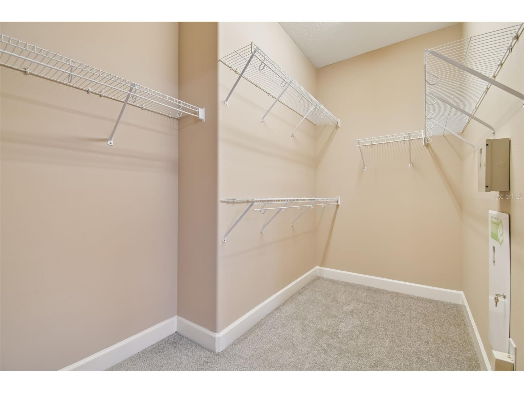 13709 Sanford Hill Place Riverview FL 33579 TB8465645 image39