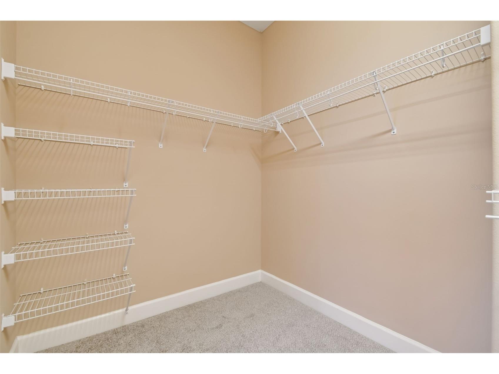 13709 Sanford Hill Place Riverview FL 33579 TB8465645 image40