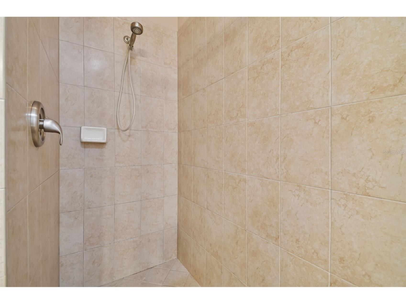 13709 Sanford Hill Place Riverview FL 33579 TB8465645 image41