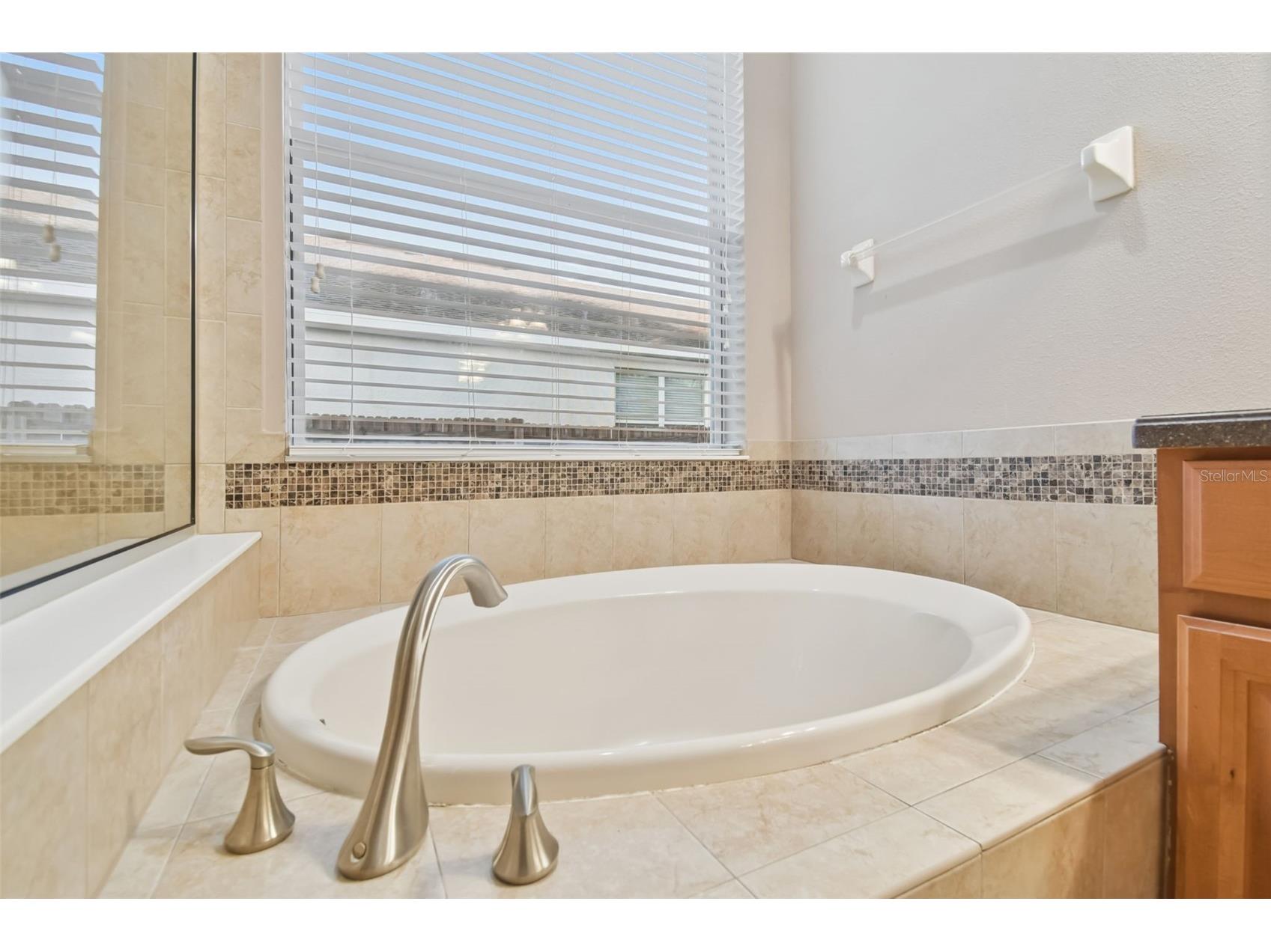 13709 Sanford Hill Place Riverview FL 33579 TB8465645 image42