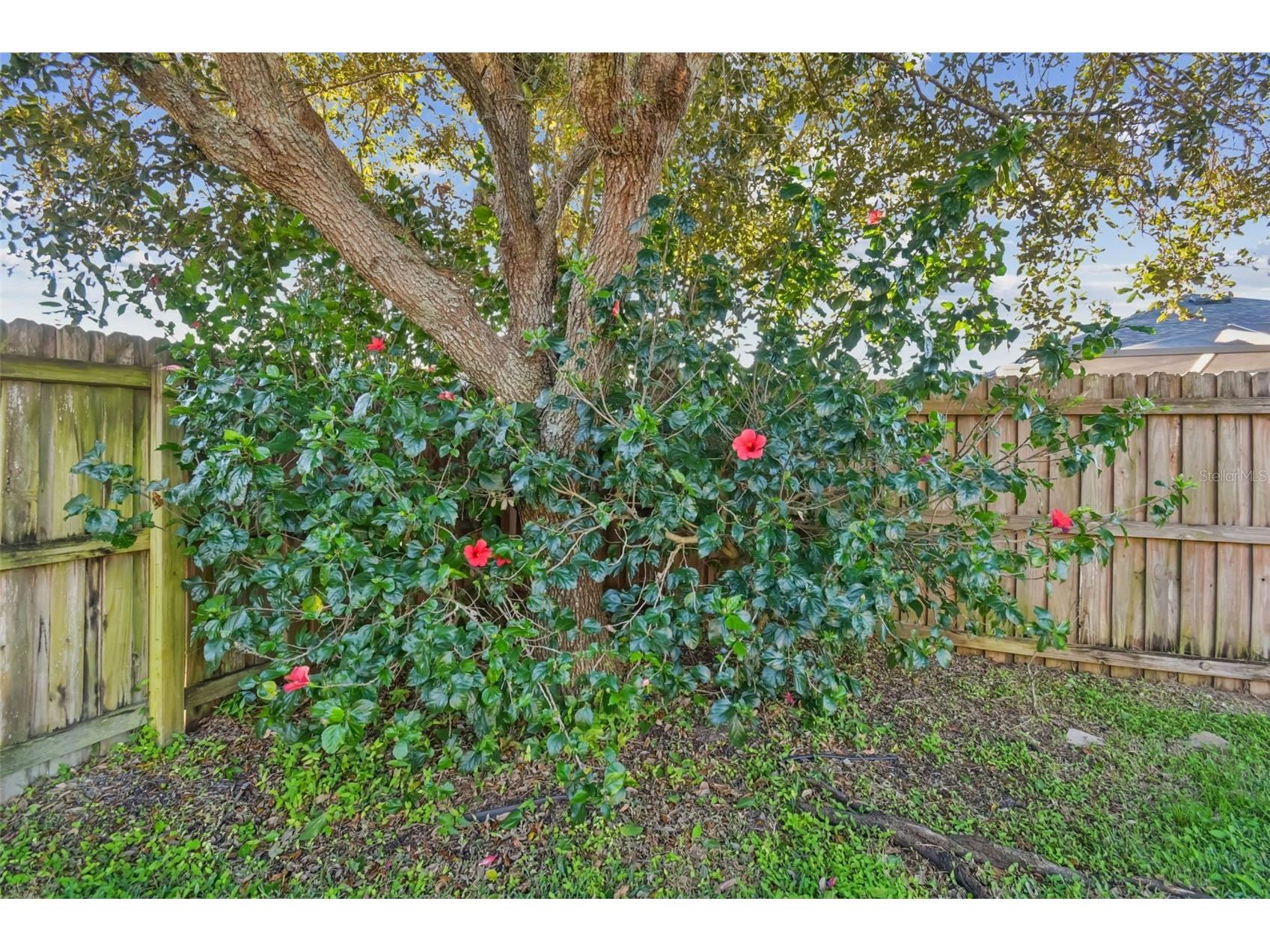 13709 Sanford Hill Place Riverview FL 33579 TB8465645 image47