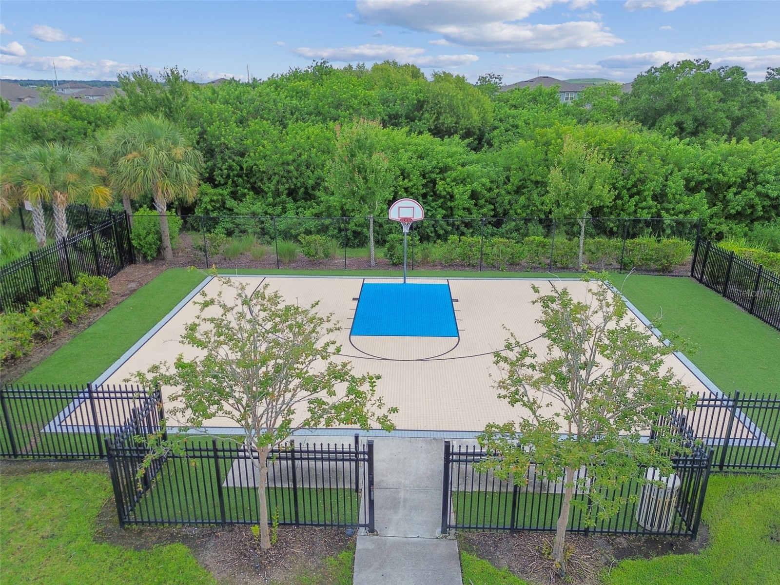 13709 Sanford Hill Place Riverview FL 33579 TB8465645 image70