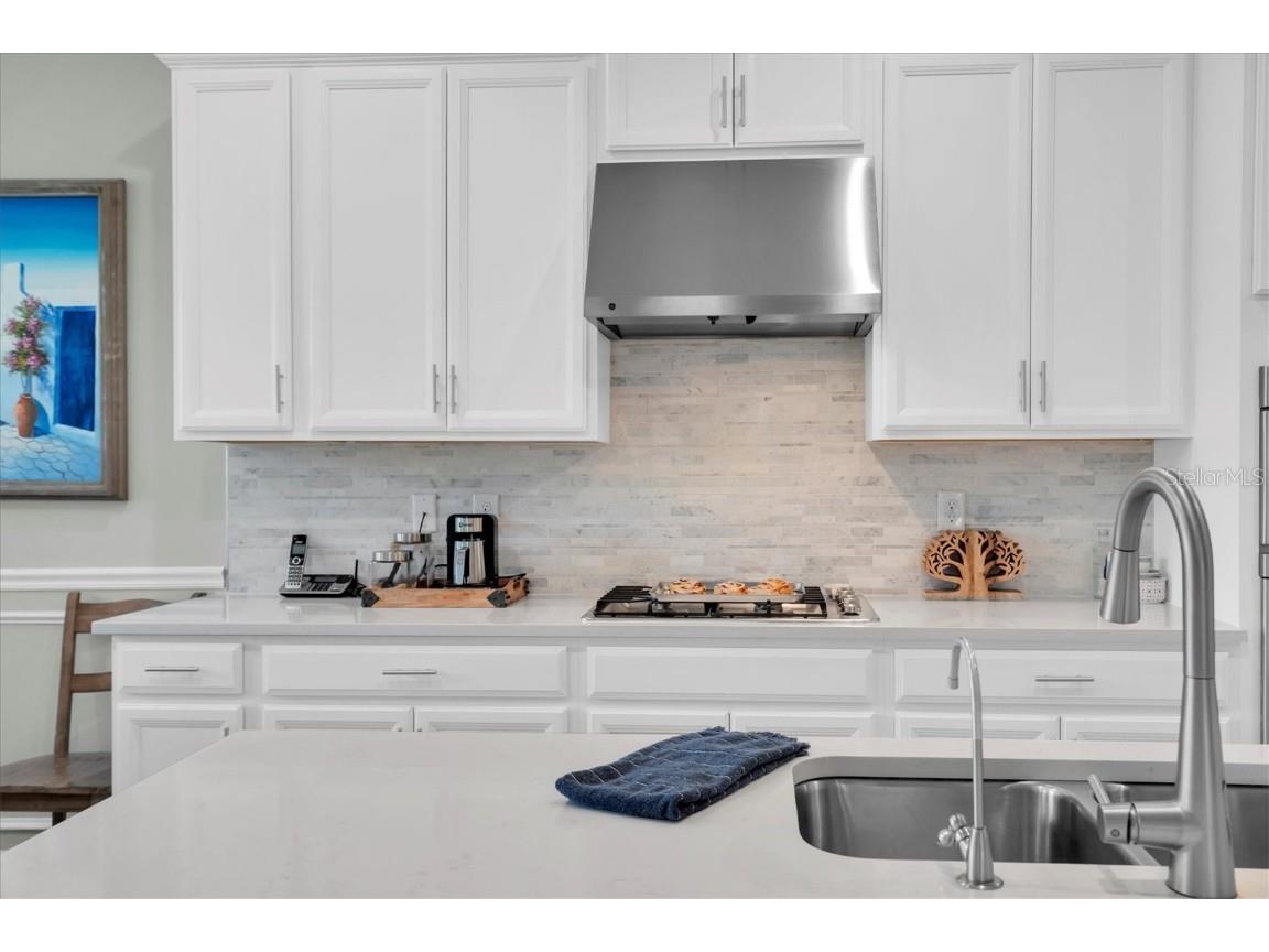 13709 Stansil Avenue Odessa FL 33556 W7880079 image16