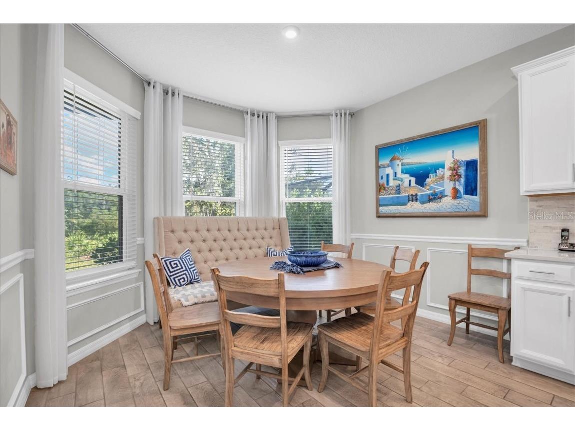 13709 Stansil Avenue Odessa FL 33556 W7880079 image17